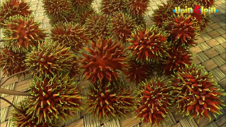 Buah-buahan di Upin dan Ipin - Rambutan
