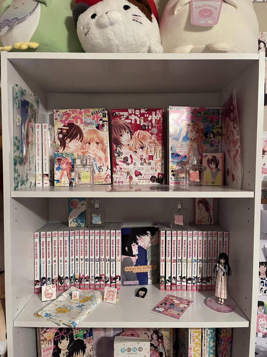 potret koleksi Kimi ni Todoke (reddit.com/user/bananaww625)