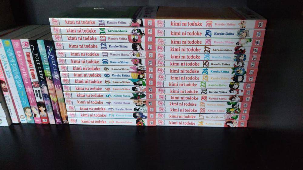 potret koleksi Kimi ni Todoke (reddit.com/user/minakoxoxo)