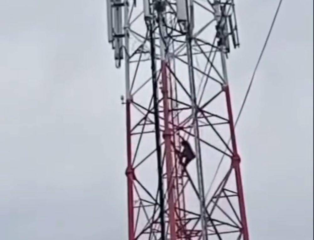 Pria diduga ODGJ panjat tower pemancar di kawasan Sukarami (Dok: tangkapan layar)