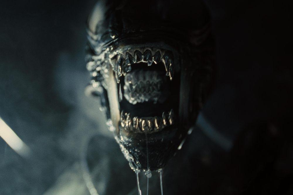 5 Film Survival Seru yang Rilis Tahun 2024, Wajib Tonton!