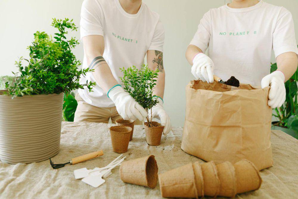 ilustrasi kit berkebun (pexels.com/@thirdman)