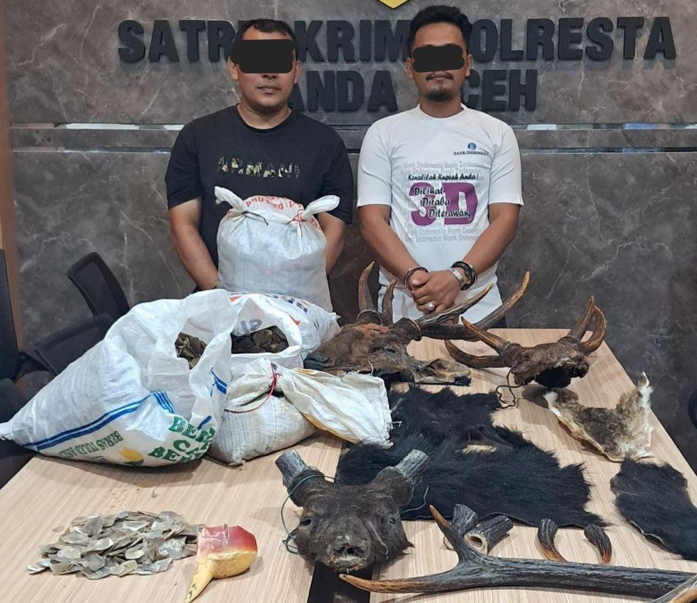 Polisi Tangkap 2 Pria saat Jual Berbagai Bagian Tubuh Satwa di Aceh