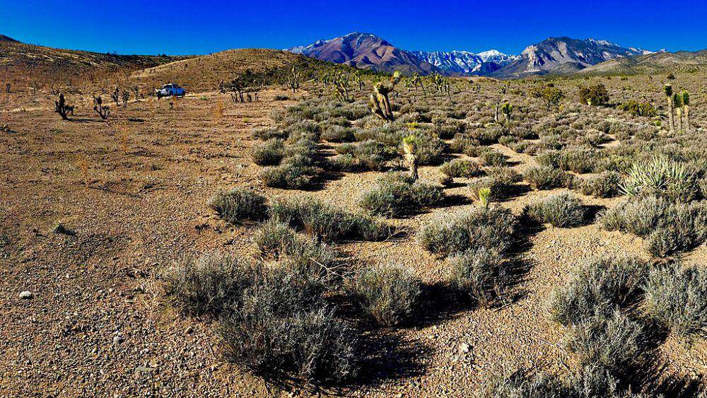ilustrasi Spring Mountains National Recreation Area (commons.wikimedia.org/Teamrat Ghezzehei)