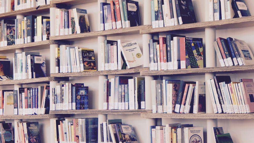 Buku bacaan (pixabay.com/Marisa Sias)