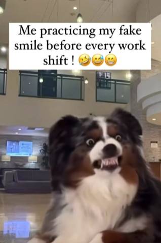meme senyum di tempat kerja (instagram.com/careercoachcharisse)