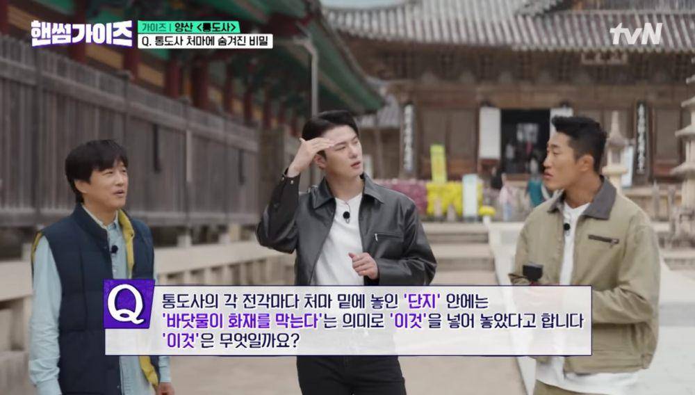cuplikan variety show Handsome Guys (youtube.com/tvN)