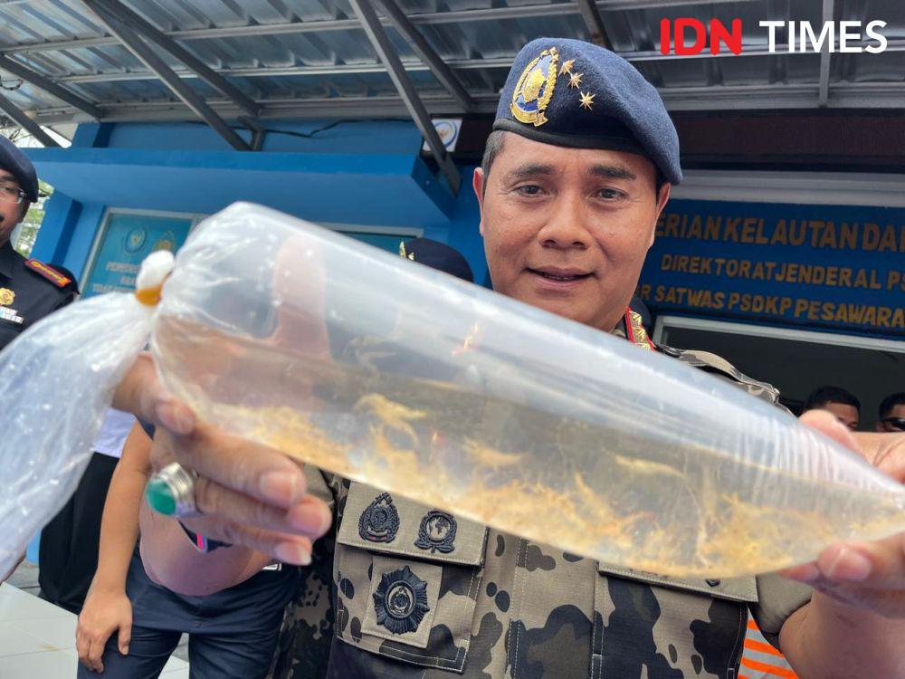PSDKP Ungkap Penyelundupan BBL Asal Pesisir Barat Senilai Rp7,8 Miliar