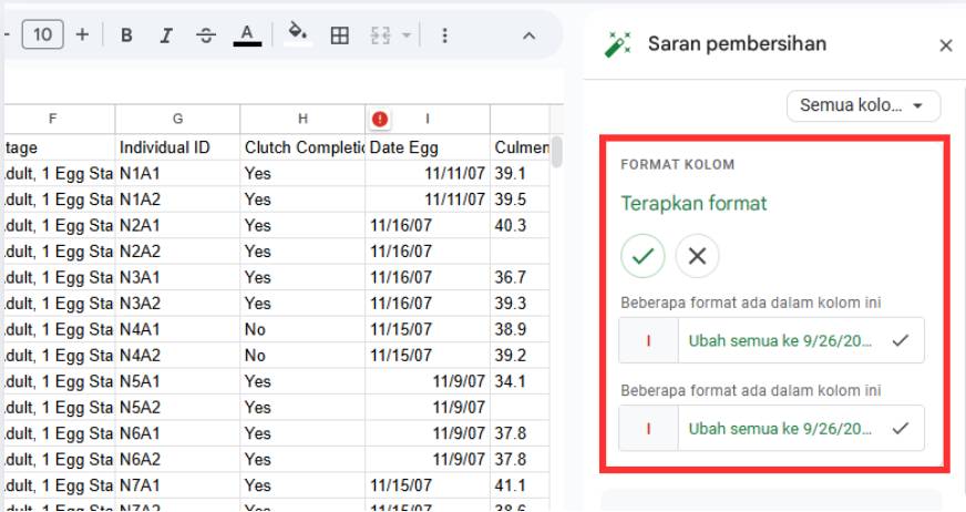 saran pembersihan di Google Spreadsheet (dok. pribadi/Diyah Esti Cahyo Pertiwi)