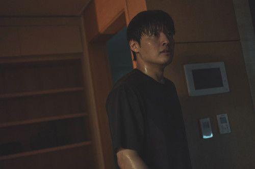 first look film Wall to Wall (dok. Netflix)