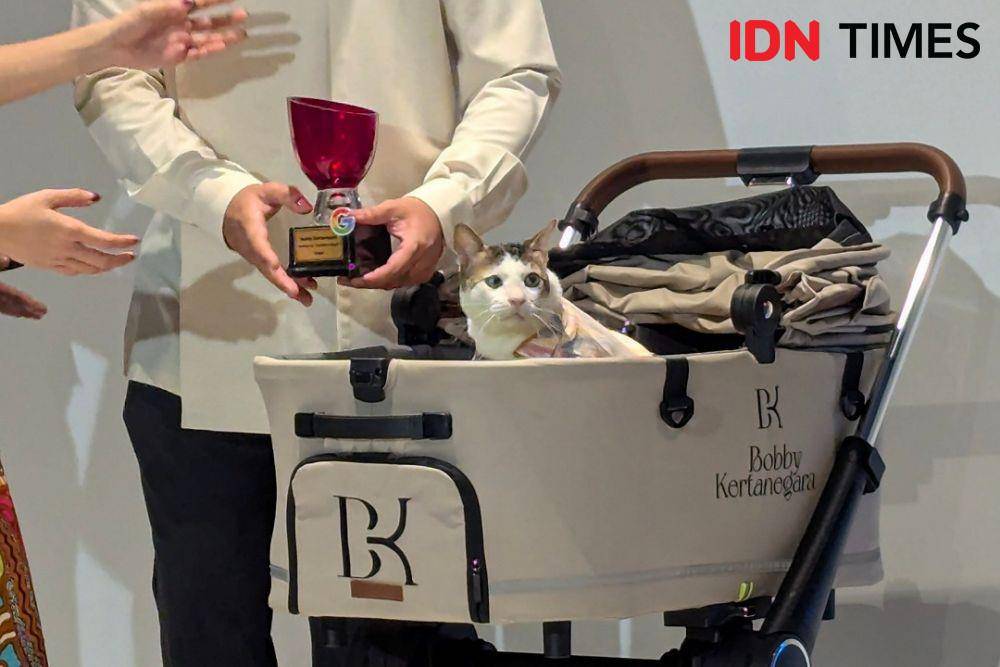 Bobby Kertanegara (IDN Times/Misrohatun)