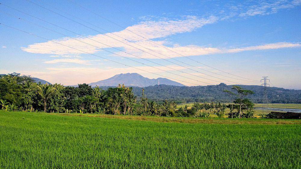 Gunung Ungaran dari kejauhan (commons.wikimedia.org/Hart sltg)