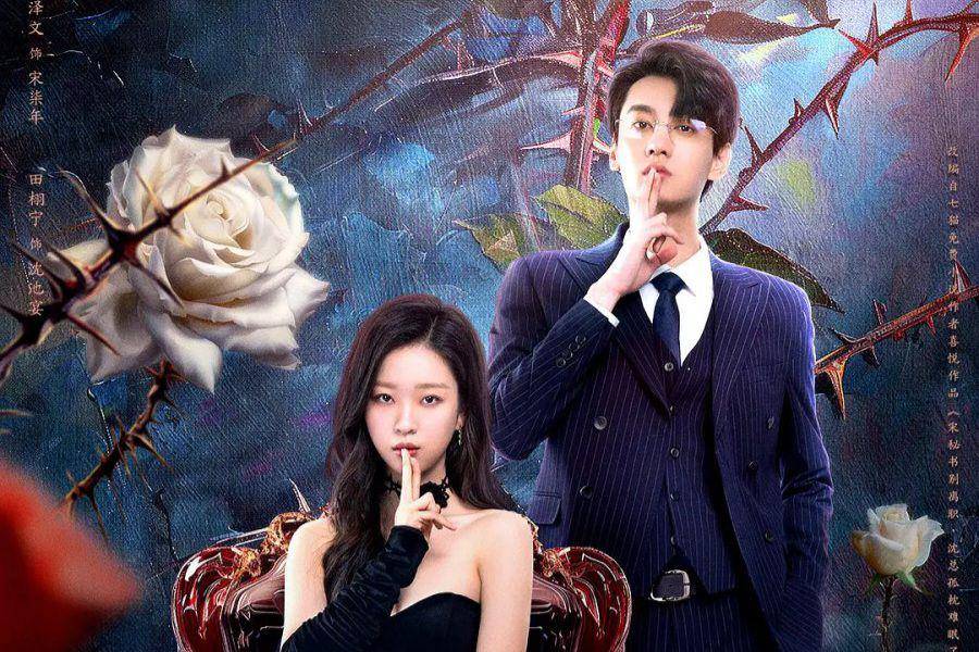 poster drama China The Silent Wife (dok. Tencent Video)
