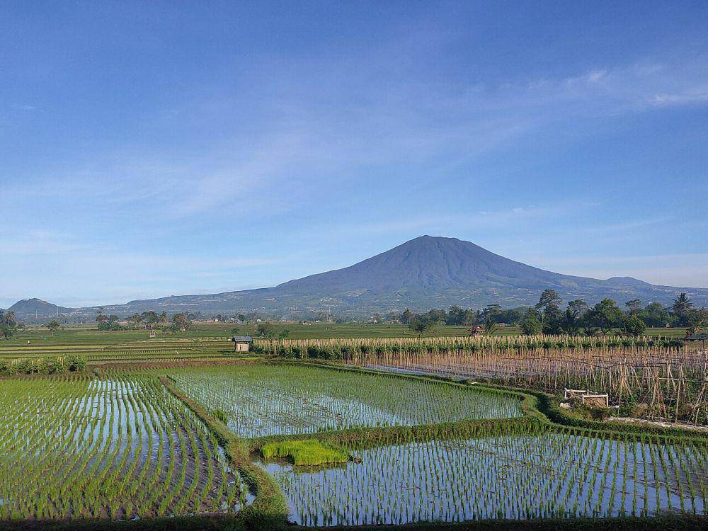 Gunung Gede (commons.wikimedia.org/Afrogindahood)