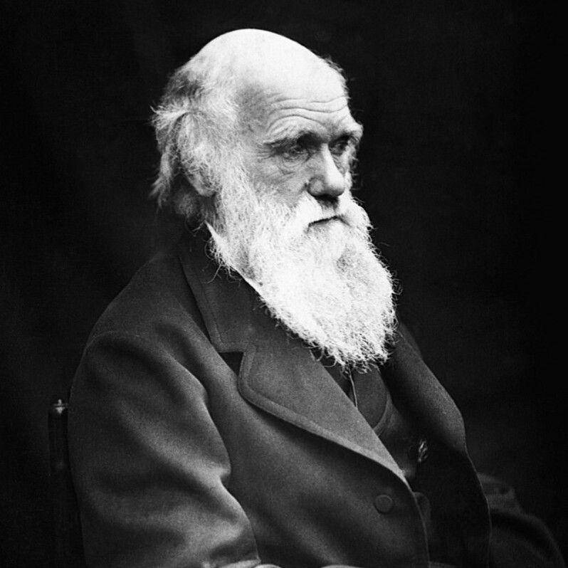 Charles Darwin (commons.wikimedia.org/Julia Margaret Cameron)