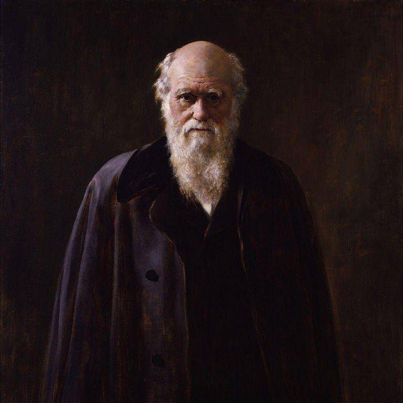 Charles Darwin (commons.wikimedia.org/John Collier)