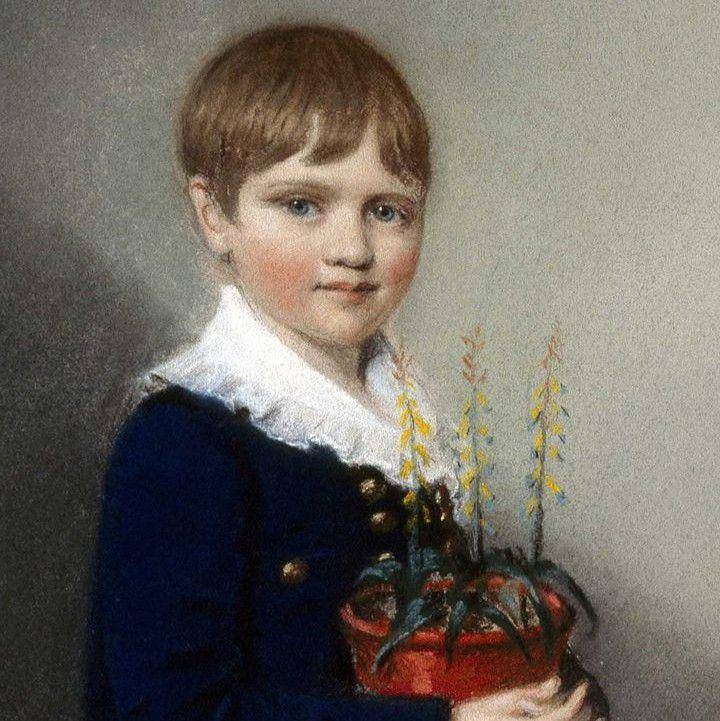 ilustrasi Darwin muda (commons.wikimedia.org/Ellen Sharples)