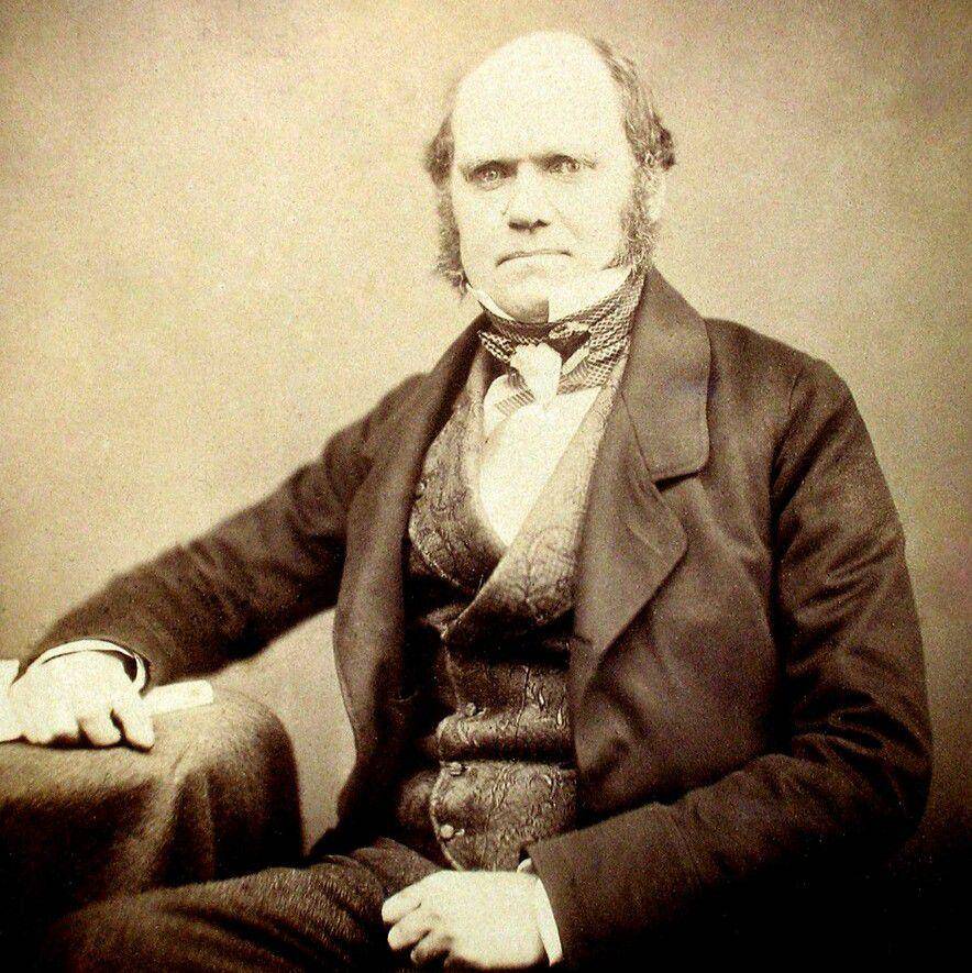 Charles Darwin (commons.wikimedia.org/Maull and Polyblank)