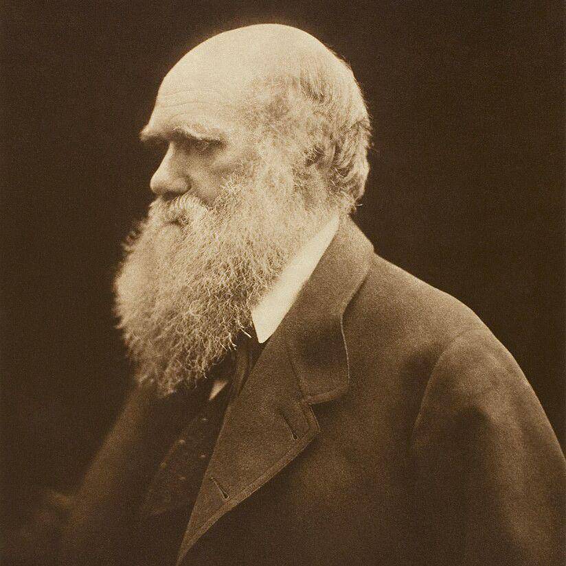 Charles Darwin (commons.wikimedia.org/Julia Margaret Cameron, Adam Cuerden)