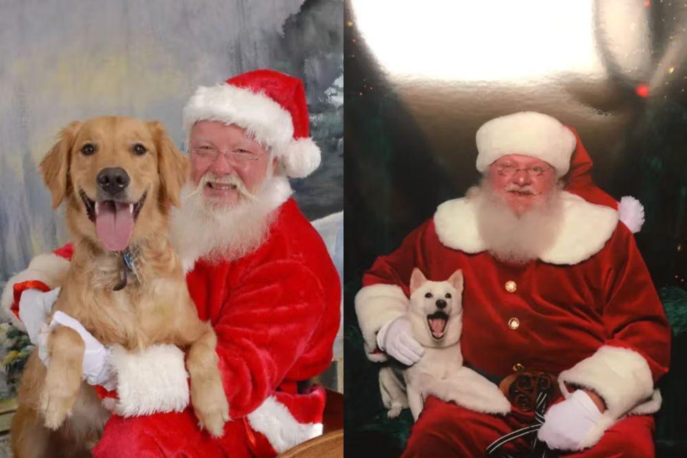 9 Foto Lucu Anjing Senyum Lebar Bareng Santa