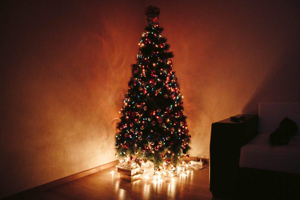 8 DIY Pohon Natal Unik Buat Kamu yang Bosan Sama Pohon Plastik