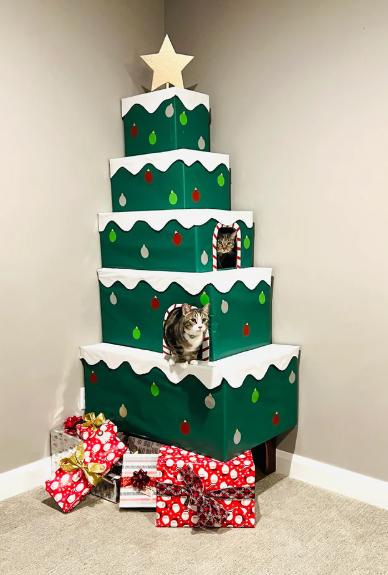 foto lucu kucing dan kado Natal (reddit.com/Azurrie)