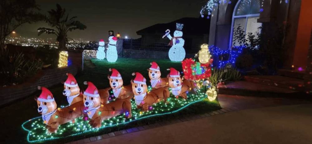 foto lucu anjing jadi penarik kereta Santa (reddit.com/gamerabaenre)