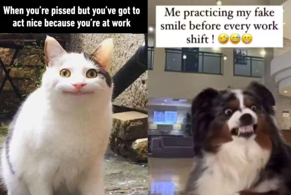 7 Meme Senyum di Tempat Kerja, Sering Merasa Terpaksa