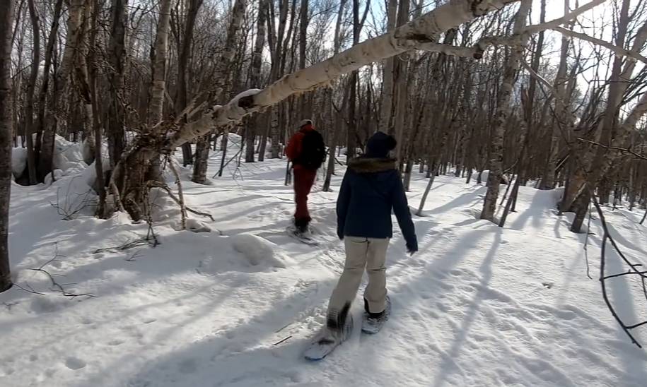 ilustrasi snowshoeing di Half Moon Lake, Niseko, Jepang (YouTube.com/Mark Jones)