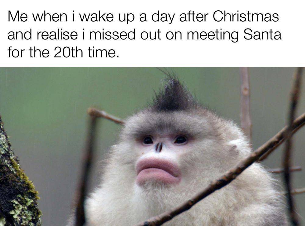 meme Sinterklas (reddit.com/ayush282000)