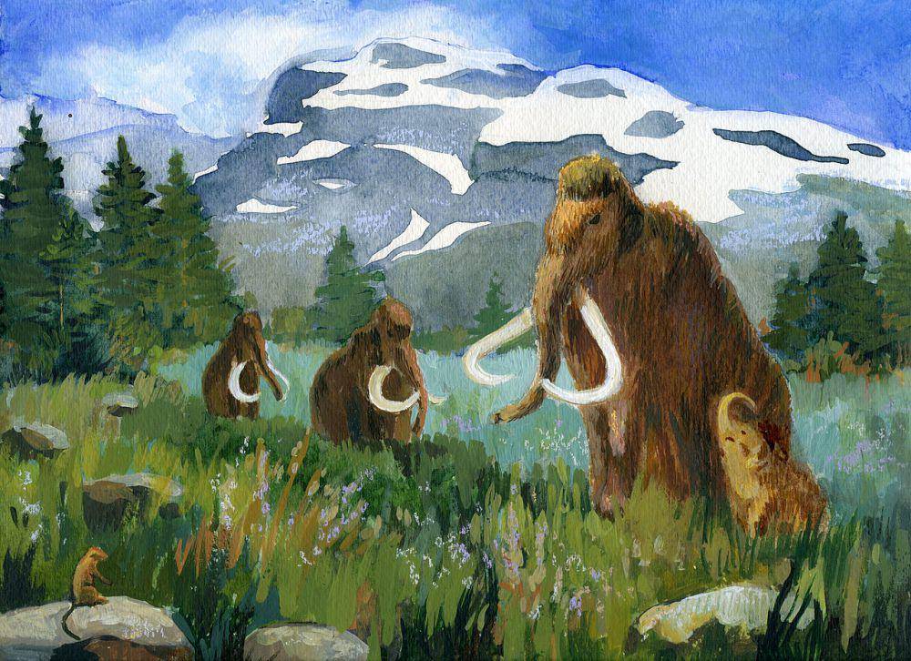 ilustrasi mamut berbulu (commons.wikimedia.org/Kira Sokolovskaia)