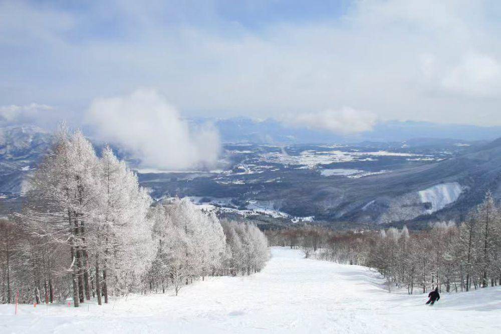 Myoko Suginohara, Jepang (instagram.com/suginohara_official)