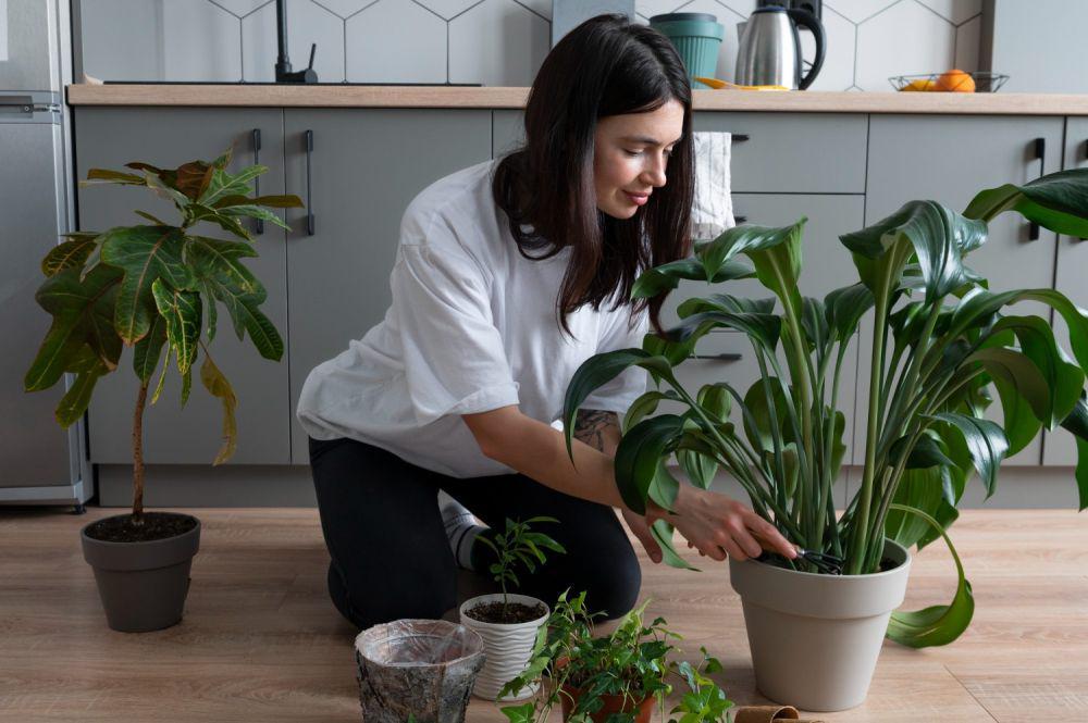 5 Tips Jaga Kualitas Udara dalam Rumah