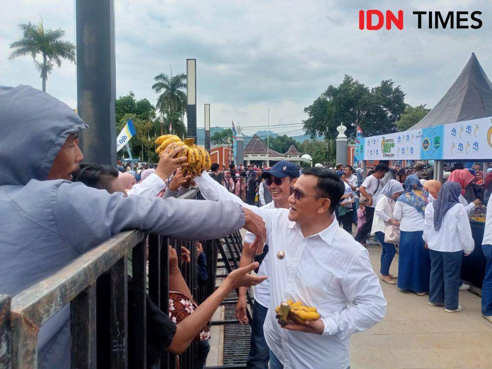 Inin Nastain IDN Times/ Pj Bupati Majalengka membagikan pisang Apuy