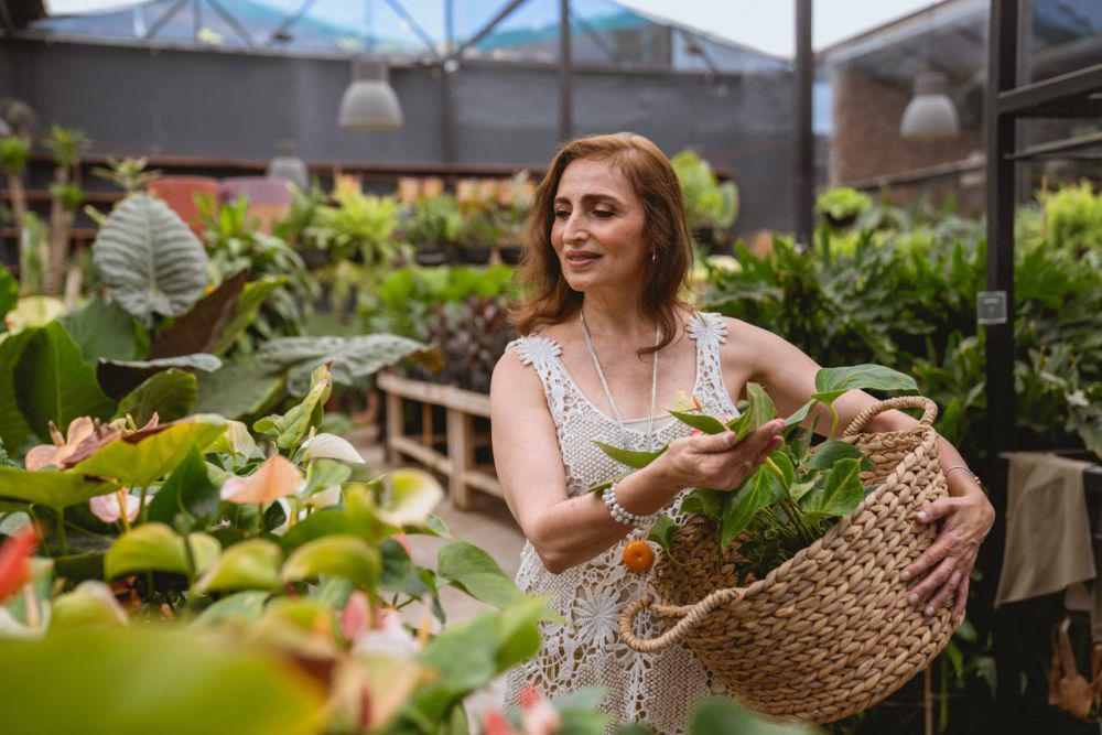 4 Tanaman Hias Daun yang Cantik dan Wangi