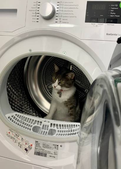 foto lucu kucing memperbaiki barang elektronik (reddit.com/bgrmk)