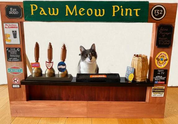 foto lucu kucing bartender (reddit.com/Chaiteoir)