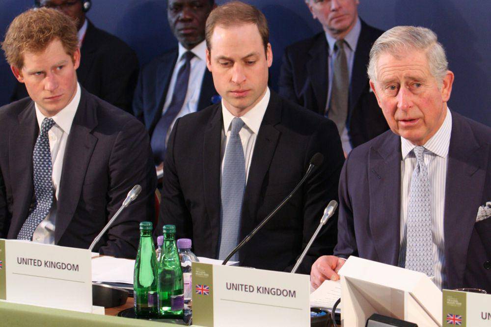 Pangeran Harry, William dan Charles di Konferensi London tentang Perdagangan Satwa Liar Ilegal pada 2014 (commons.wikimedia.org/Foreign and Commonwealth Office)