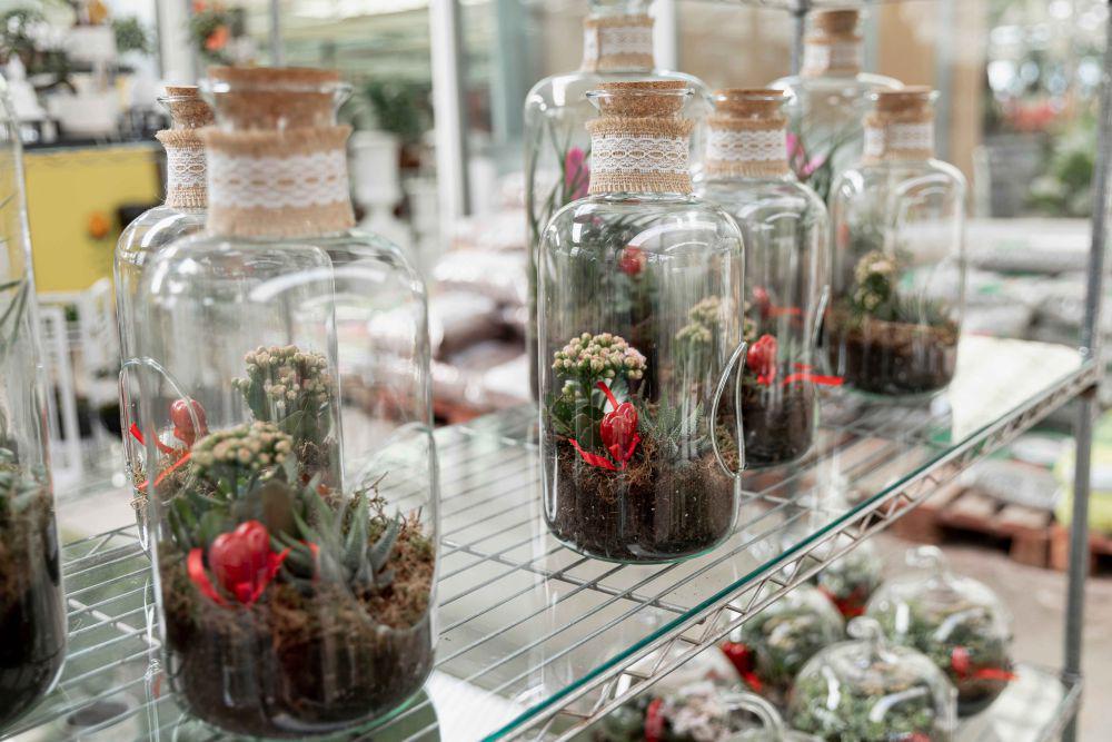 5 DIY Membuat Terrarium Sendiri di Rumah, Cocok buat Pemula