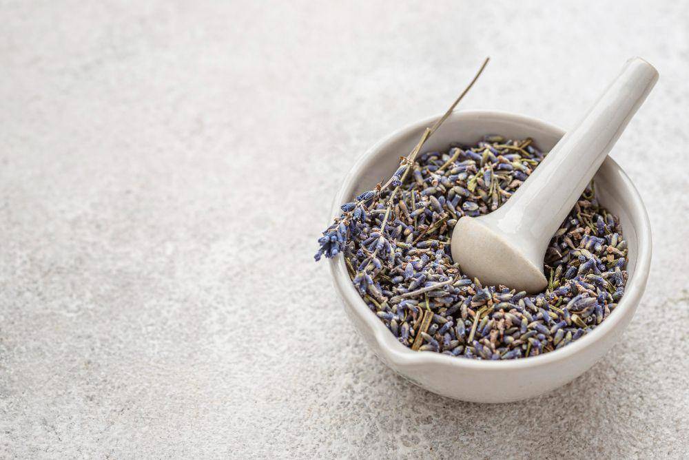 ilustrasi bunga lavender (freepik.com/freepik)