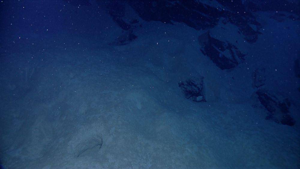 ilustrasi salju laut (thoughtco.com/NOAA)