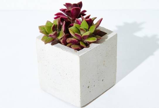 ilustrasi pot beton (freepik.com/wirestock)