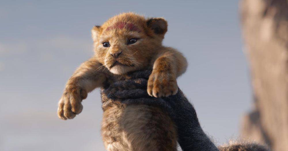 urutan nonton The Lion King (dok. Disney/The Lion King)
