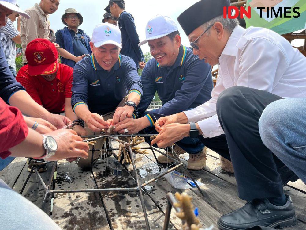 Jaga Ekosistem, PTPN I Regional 7 Tanam Mangrove dan Terumbu Karang