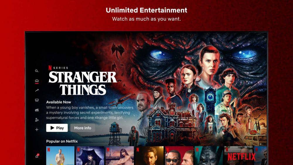 Netflix (dok. Netflix)