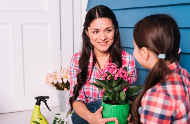 7 Rekomendasi Tanaman Hias untuk Hadiah Hari Ibu