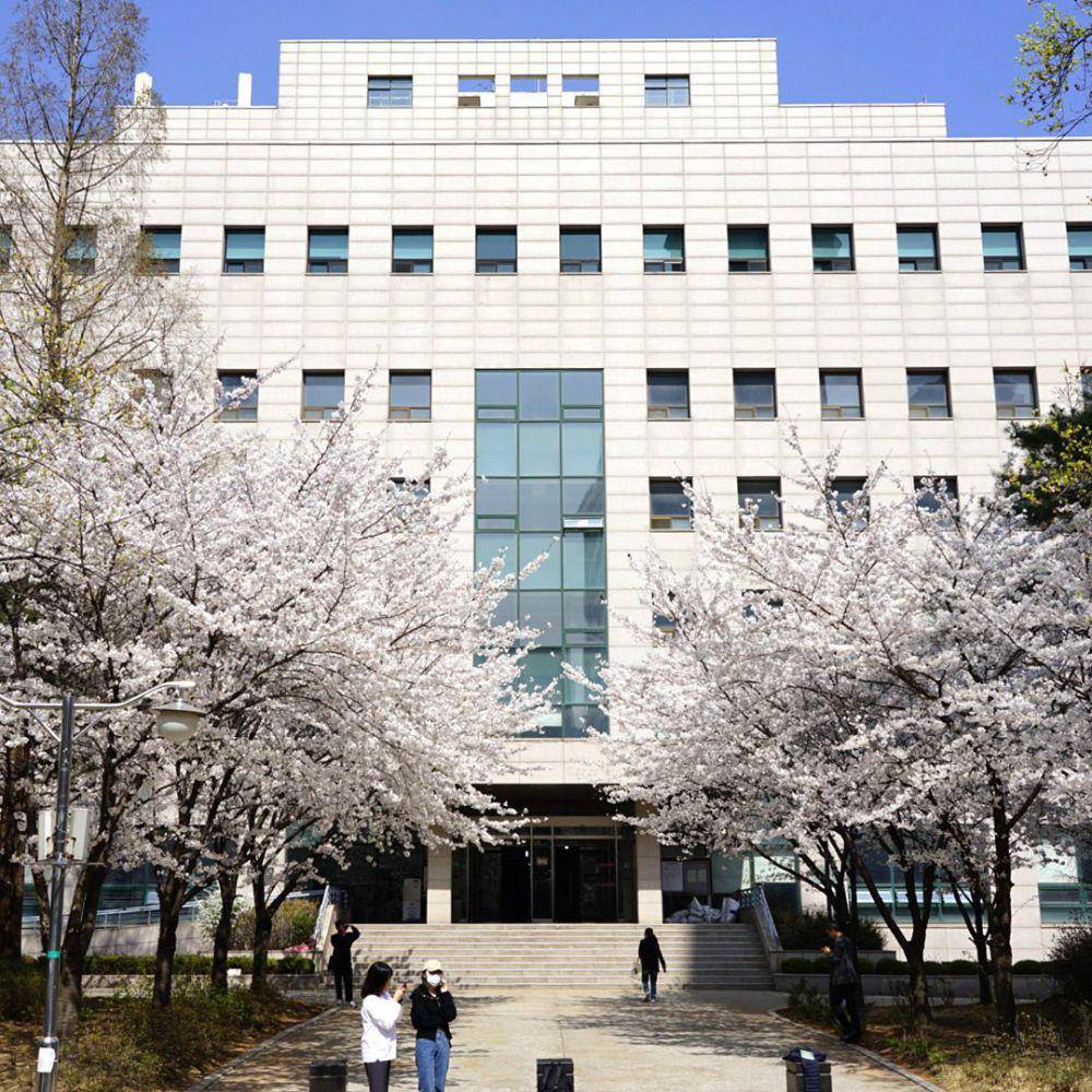 potret Sejong University (instagram.com/sejong_univ)