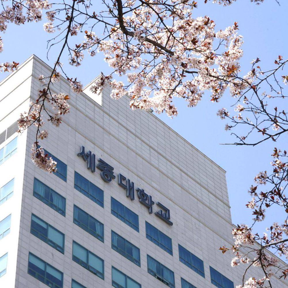 potret Sejong University (instagram.com/sejong_univ)