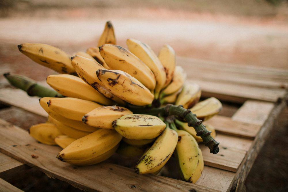 5 Cara Memilih Buah Pisang yang Bagus dan Matang, Cek Kualitasnya!