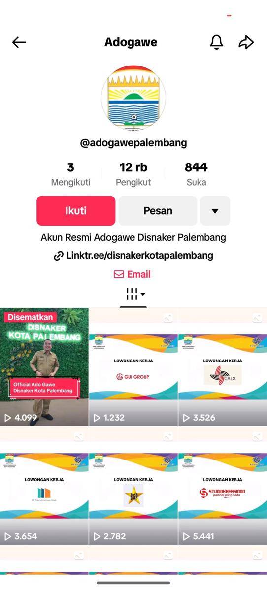 Live TikTok @adogawepalembang (Dok. Kominfo Palembang)